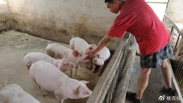 &#20061;&#28216;&#23448;&#26041;&#32593;&#39029;&#29256;&#45;&#20061;&#28216;&#40;&#20013;&#22269;&#41;